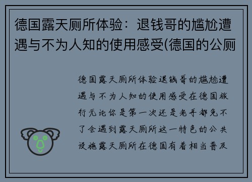 德国露天厕所体验：退钱哥的尴尬遭遇与不为人知的使用感受(德国的公厕)