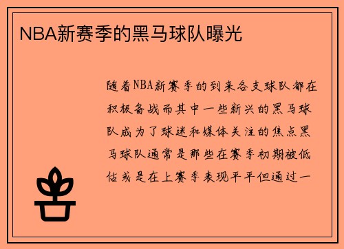 NBA新赛季的黑马球队曝光