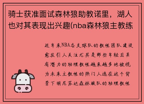 骑士获准面试森林狼助教诺里，湖人也对其表现出兴趣(nba森林狼主教练)